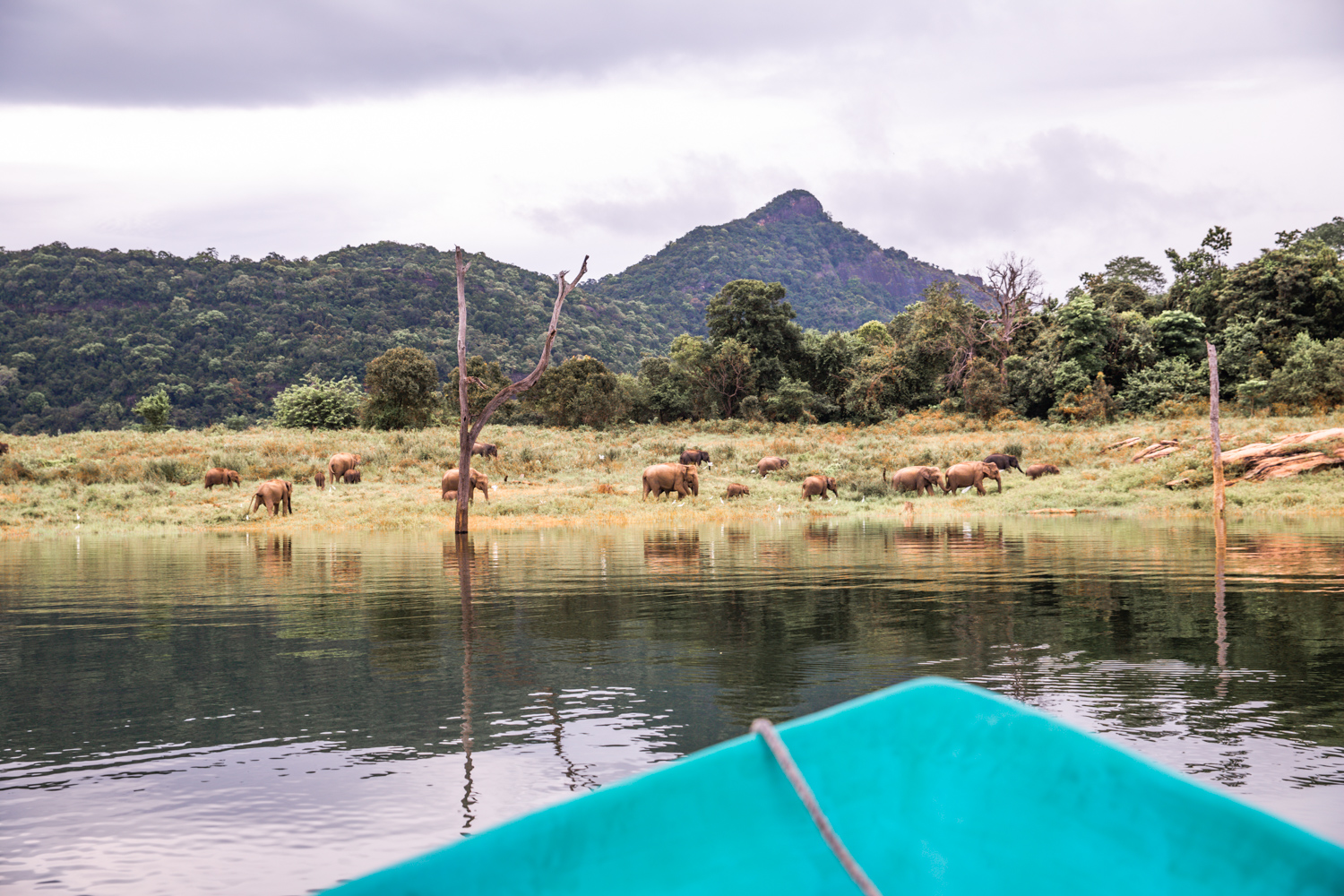 Gal Oya National Park